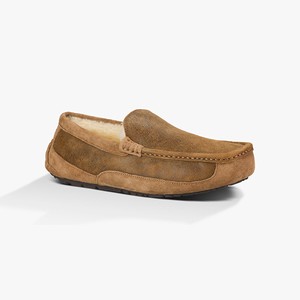 Ugg Ascot Bomber Men Slippers Brown (9426UZQMO)